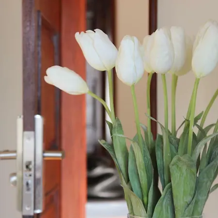 Affittacamere Ac House *