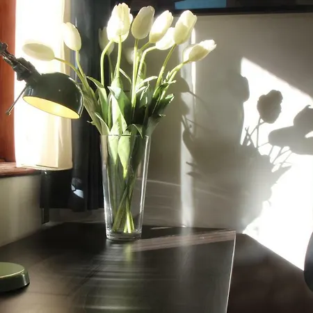 Ac House ゲストハウス