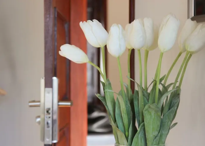 Casa de hóspedes Ac House *